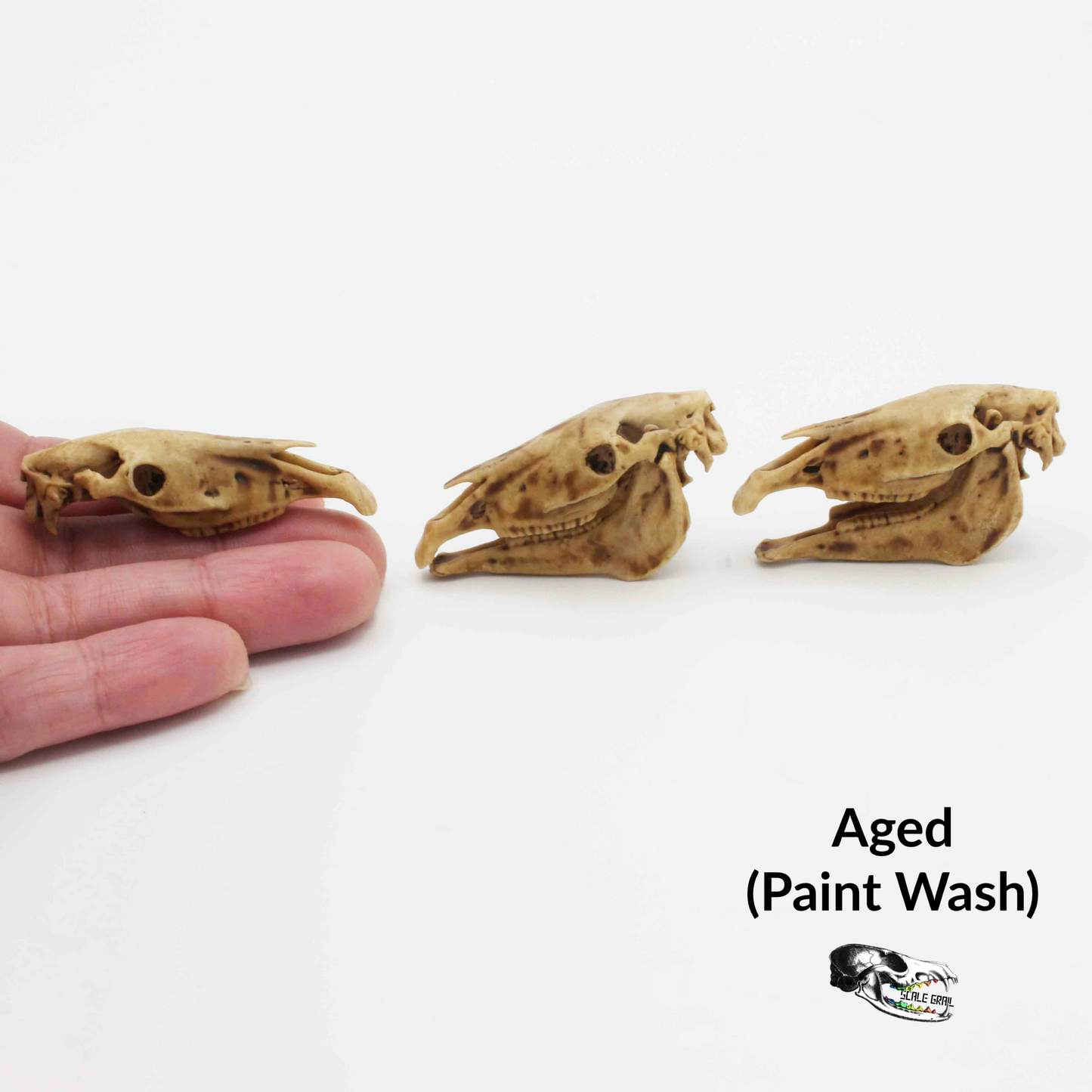 Miniature Horse Skull Miniature, 1:12 Scale Dollhouse Diorama Art and Craft Supplies (1 skull)