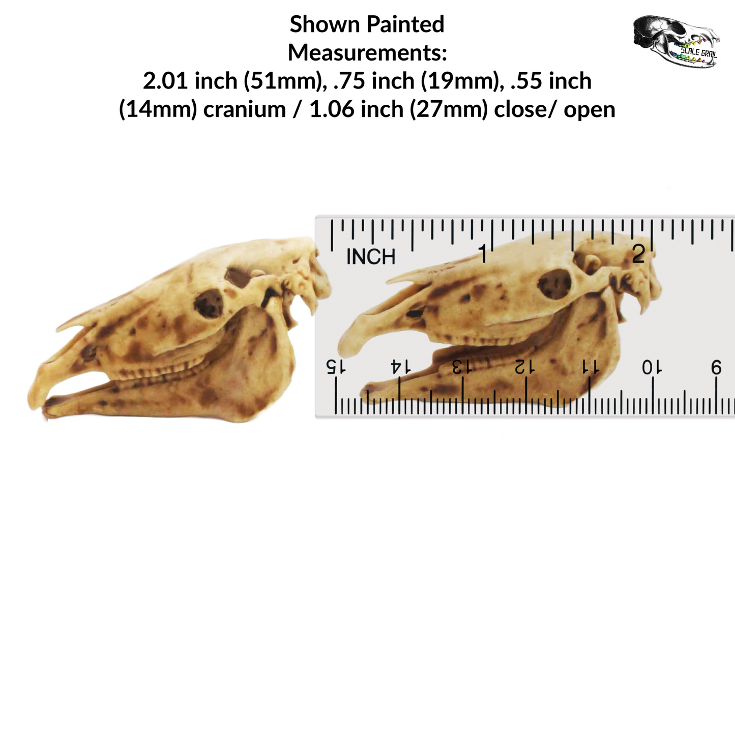 Miniature Horse Skull Miniature, 1:12 Scale Dollhouse Diorama Art and Craft Supplies (1 skull)