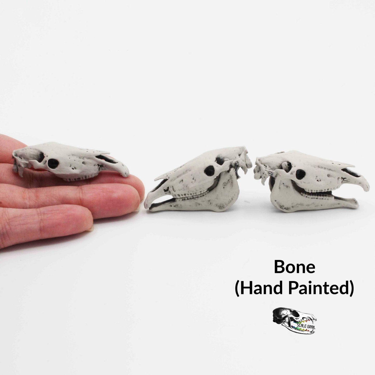 Miniature Horse Skull Miniature, 1:12 Scale Dollhouse Diorama Art and Craft Supplies (1 skull)