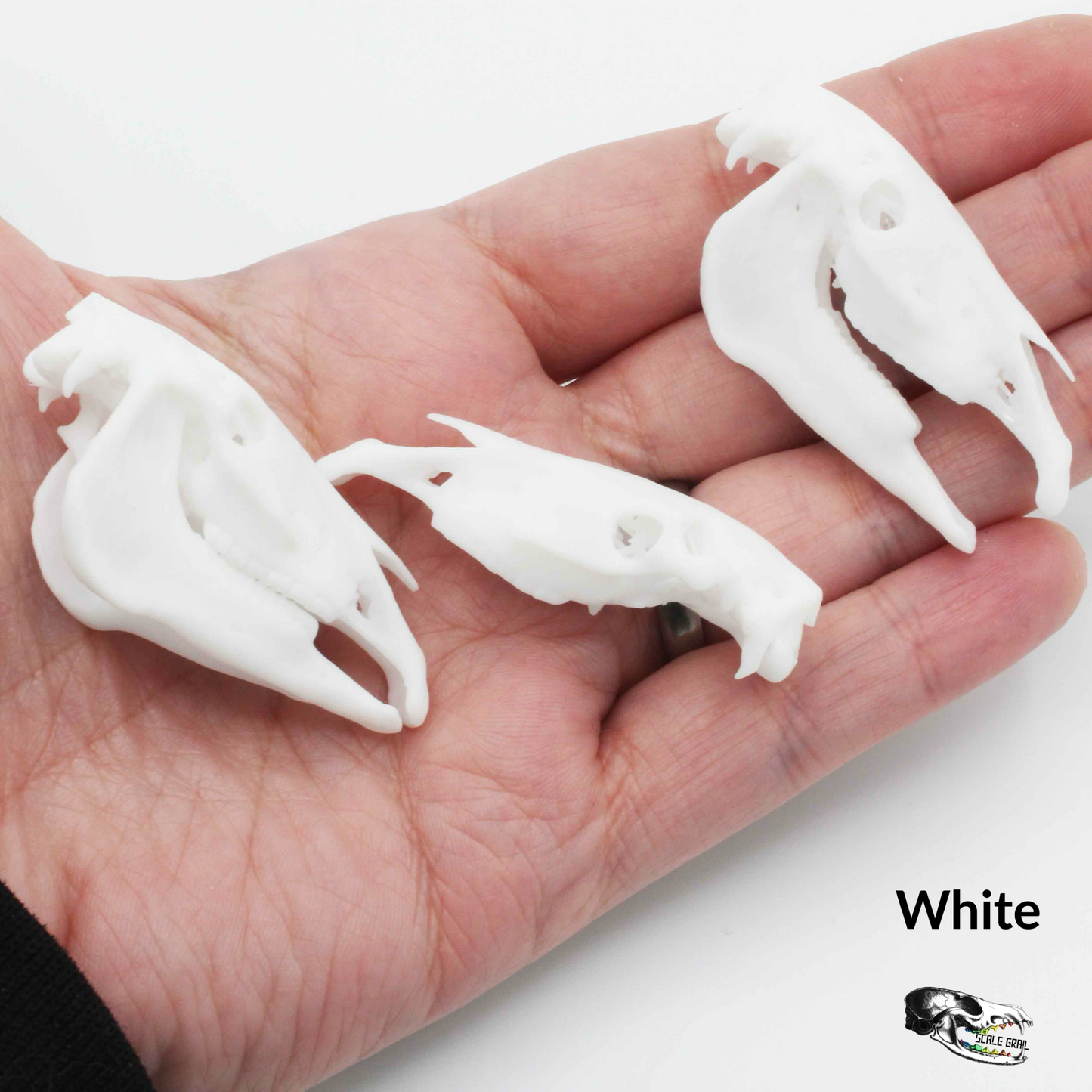 Miniature Horse Skull Miniature, 1:12 Scale Dollhouse Diorama Art and Craft Supplies (1 skull)