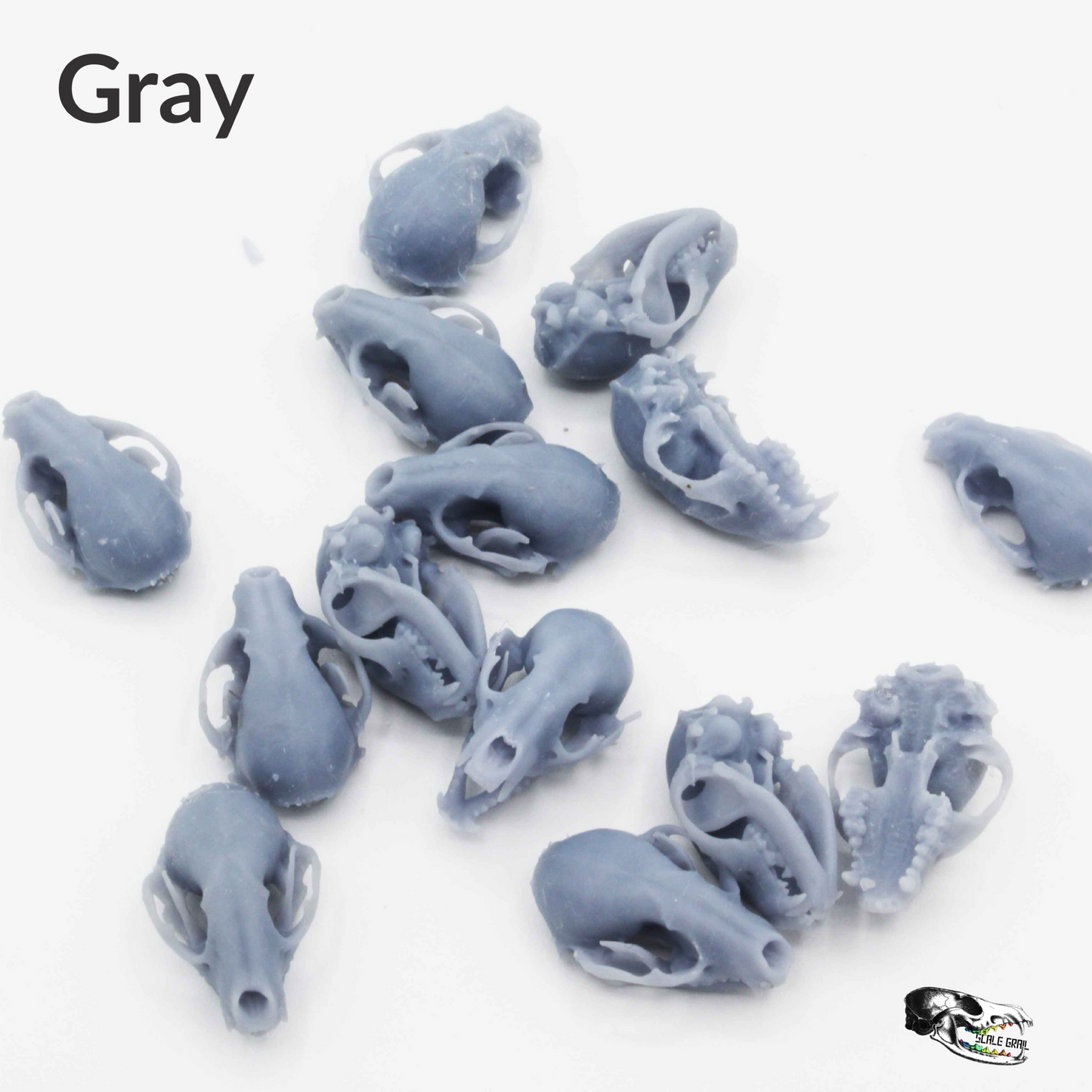 Raccoon Skull - 1:12 Scale Miniature Replica for Diorama, Dollhouse (5 skulls)