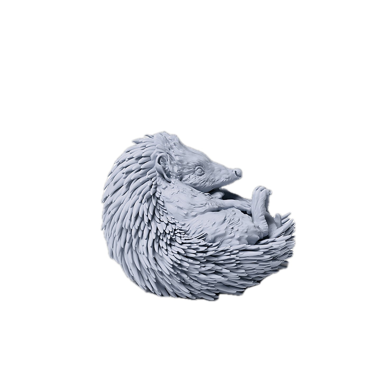 European Hedgehog Curled Up | Animal Den Miniatures