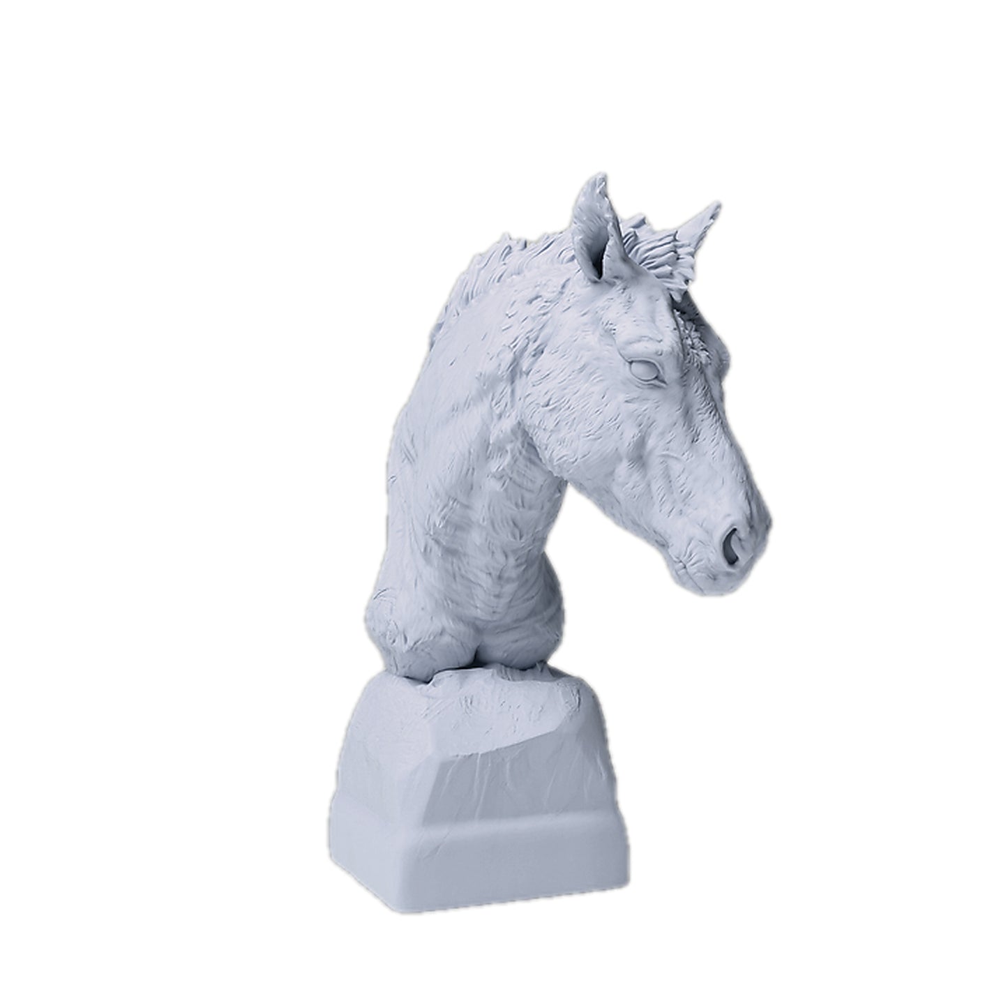 Przewalski’s Horse Bust | Animal Den Miniatures