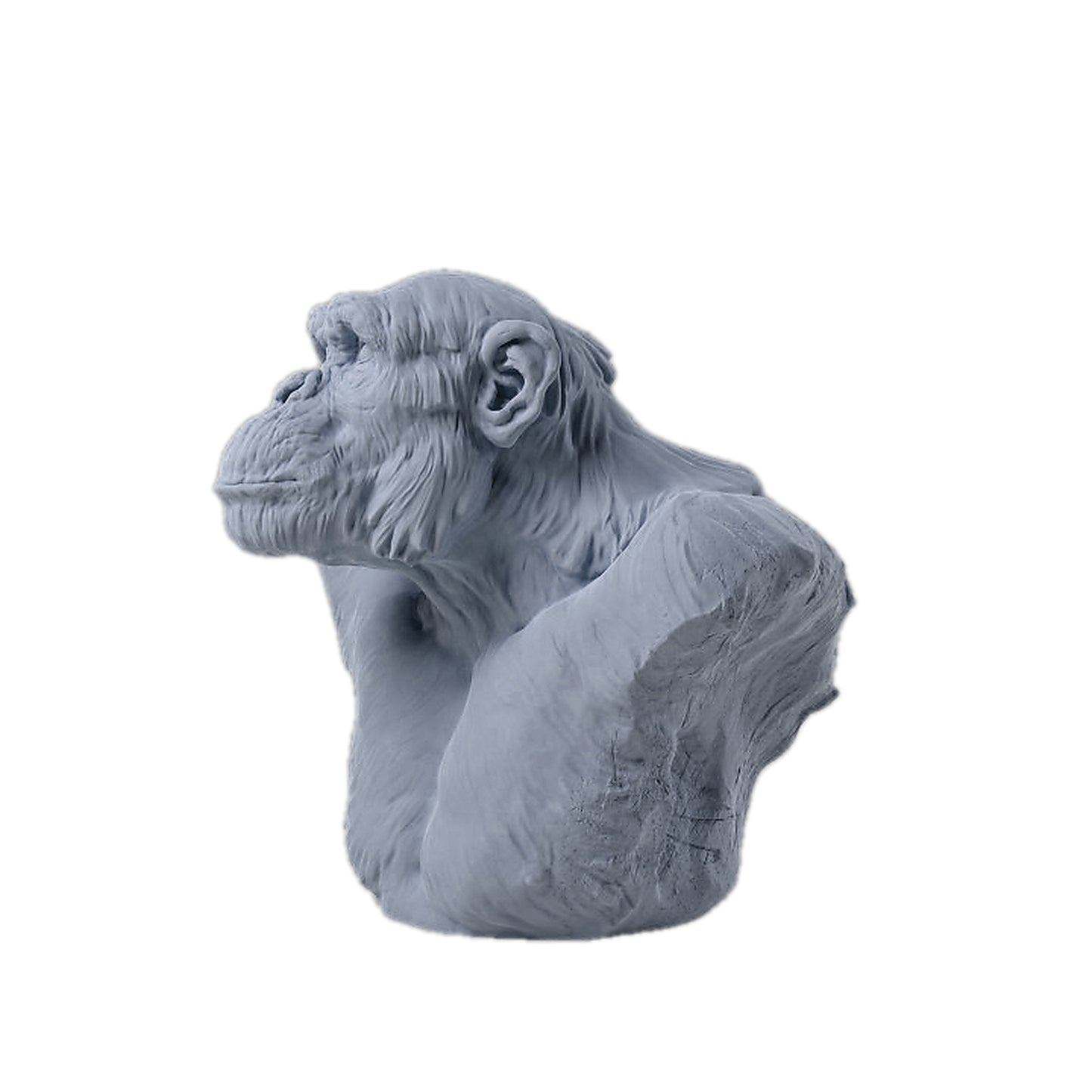 Chimp Male Bust | Animal Den Miniatures