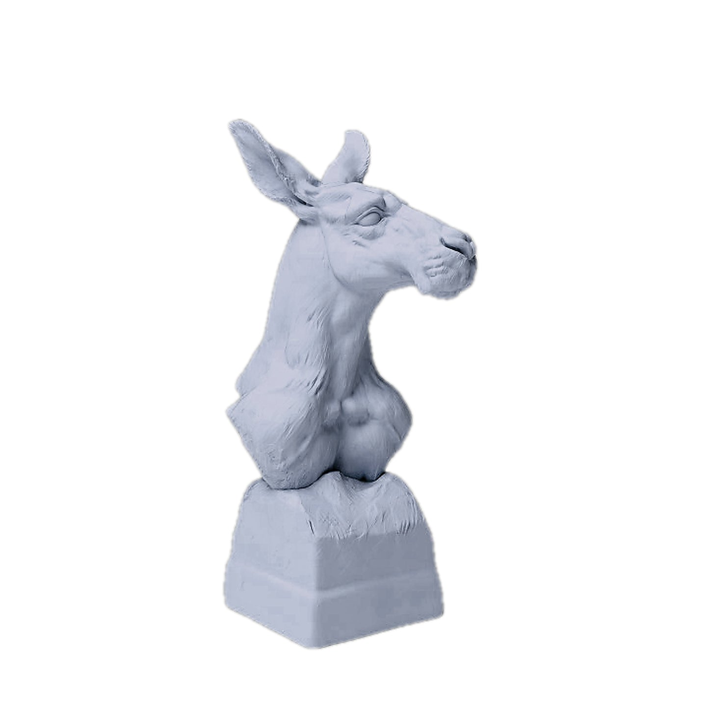 Red Kangaroo Bust | Animal Den Miniatures