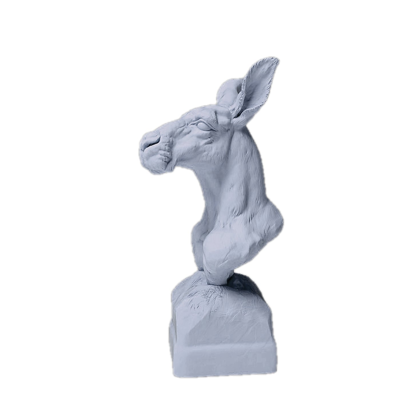 Red Kangaroo Bust | Animal Den Miniatures