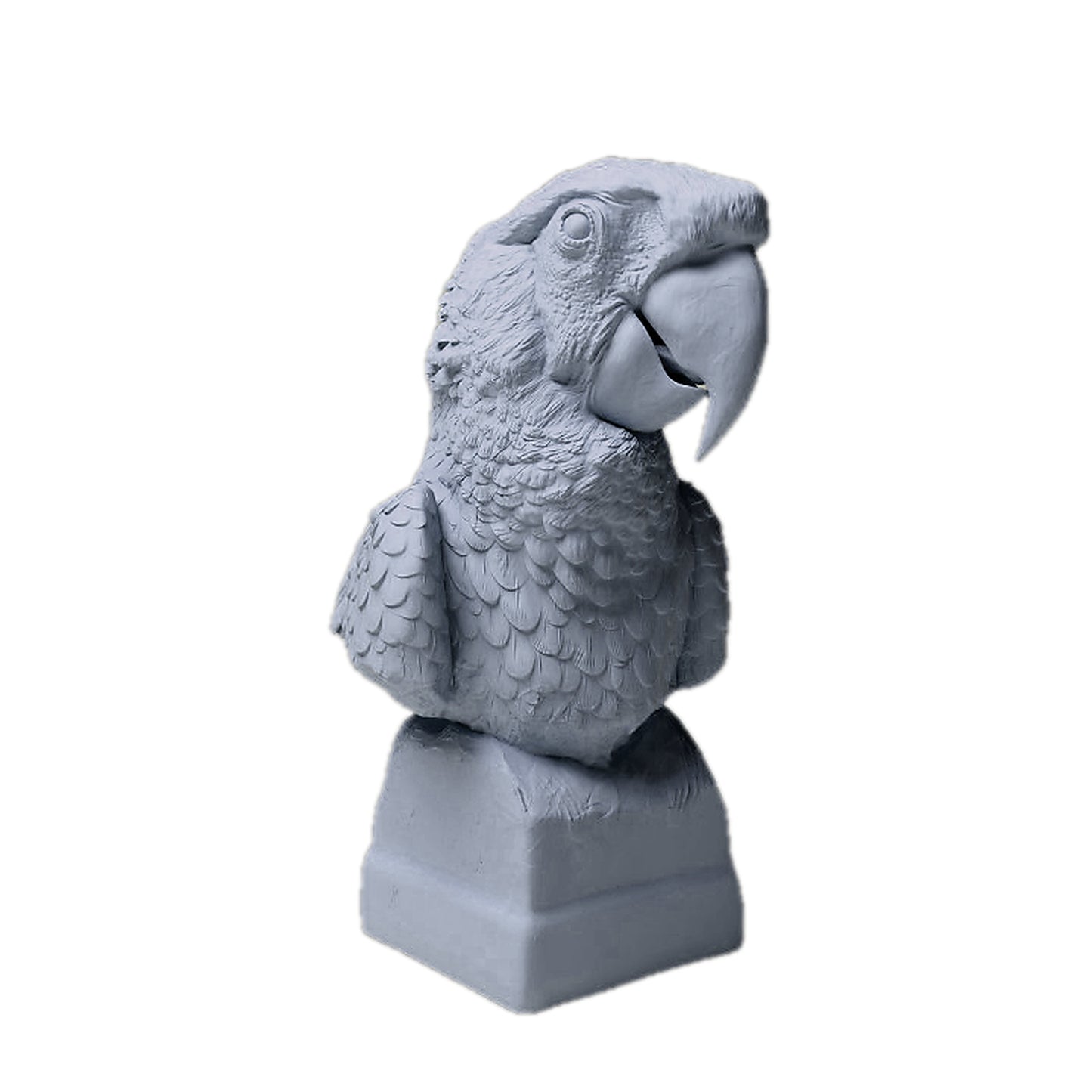 Scarlet Macaw Bust | Animal Den Miniatures
