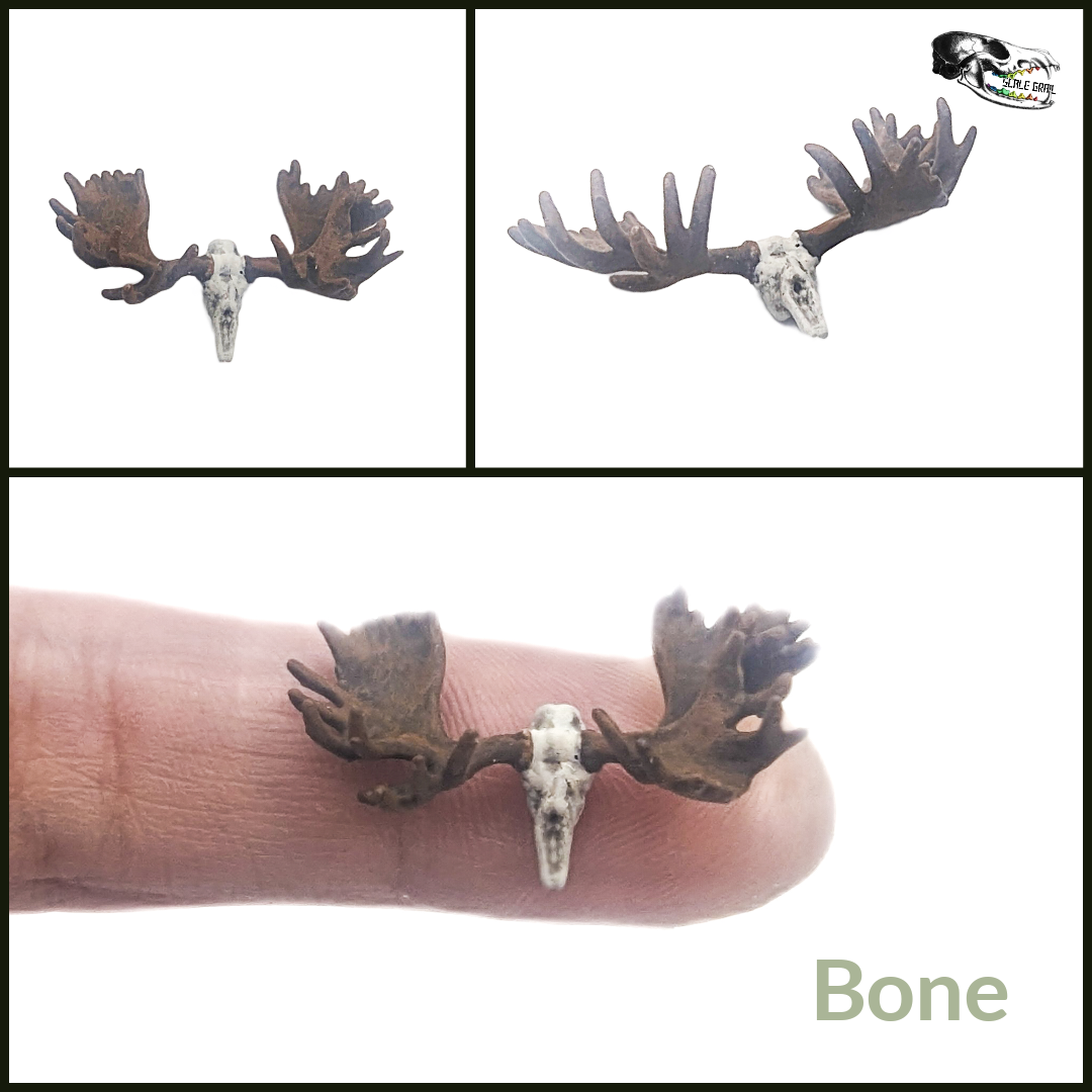 Moose skull replica, 1:48 scale miniature cranium for fairy garden, dioramas, dollhouses, art craft supply, realistic resin insert (1 skull)