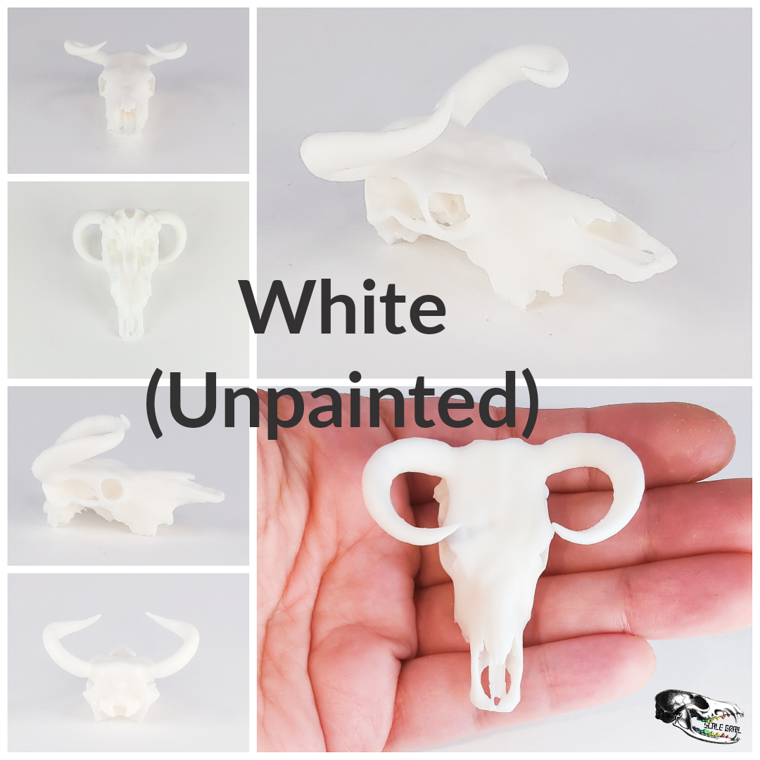 1:24 scale Auroch 1:24 Skull Replica miniature — made in NC, USA