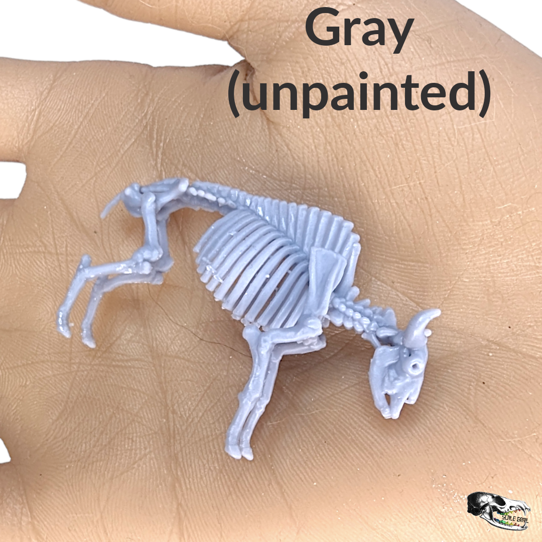 1:12 scale Bison Skeleton Replica - miniature side view — The Scale Grail