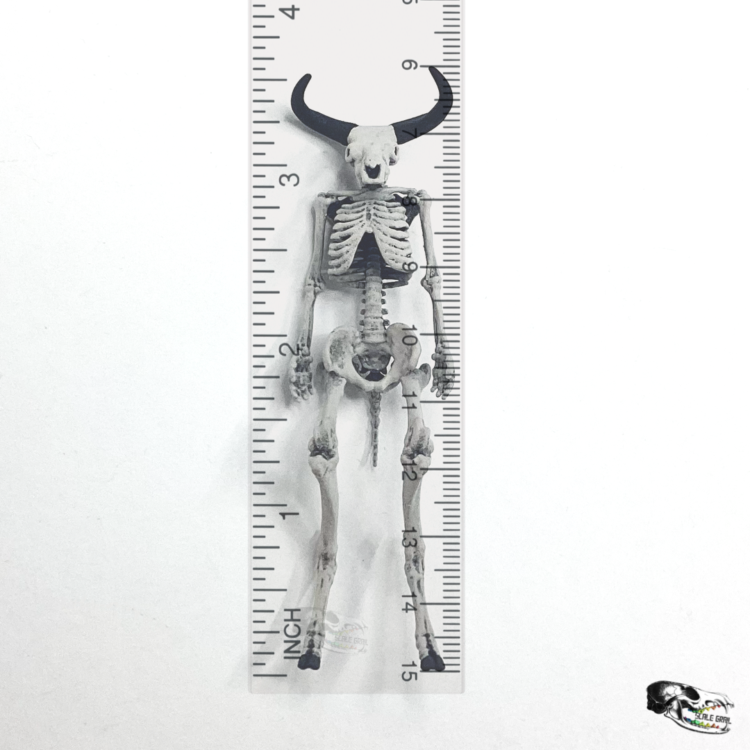 1:24 scale Minotaur Skeleton 1:24 scale miniature for horror diorama, dollhouse, tabletop arts and crafts, replica curiosities oddities (1 skeleton) miniature — made in NC, USA