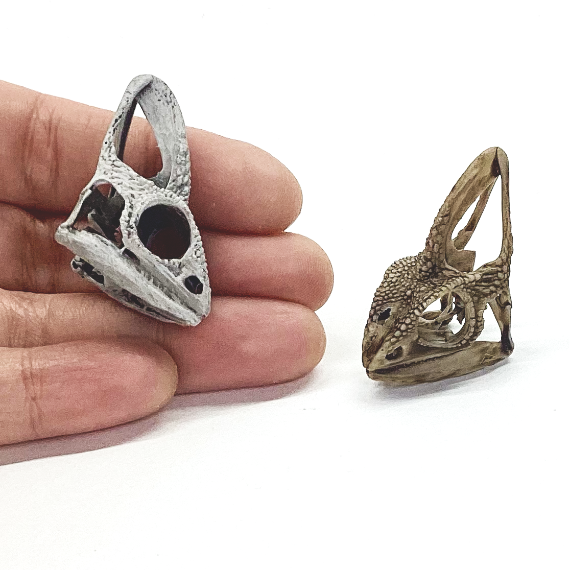 Chameleon Skull Replica- 1:1 scale size curiosity mythical diorama, dollhouse, jewelry making, arts and crafts, miniature oddities (1 skull)