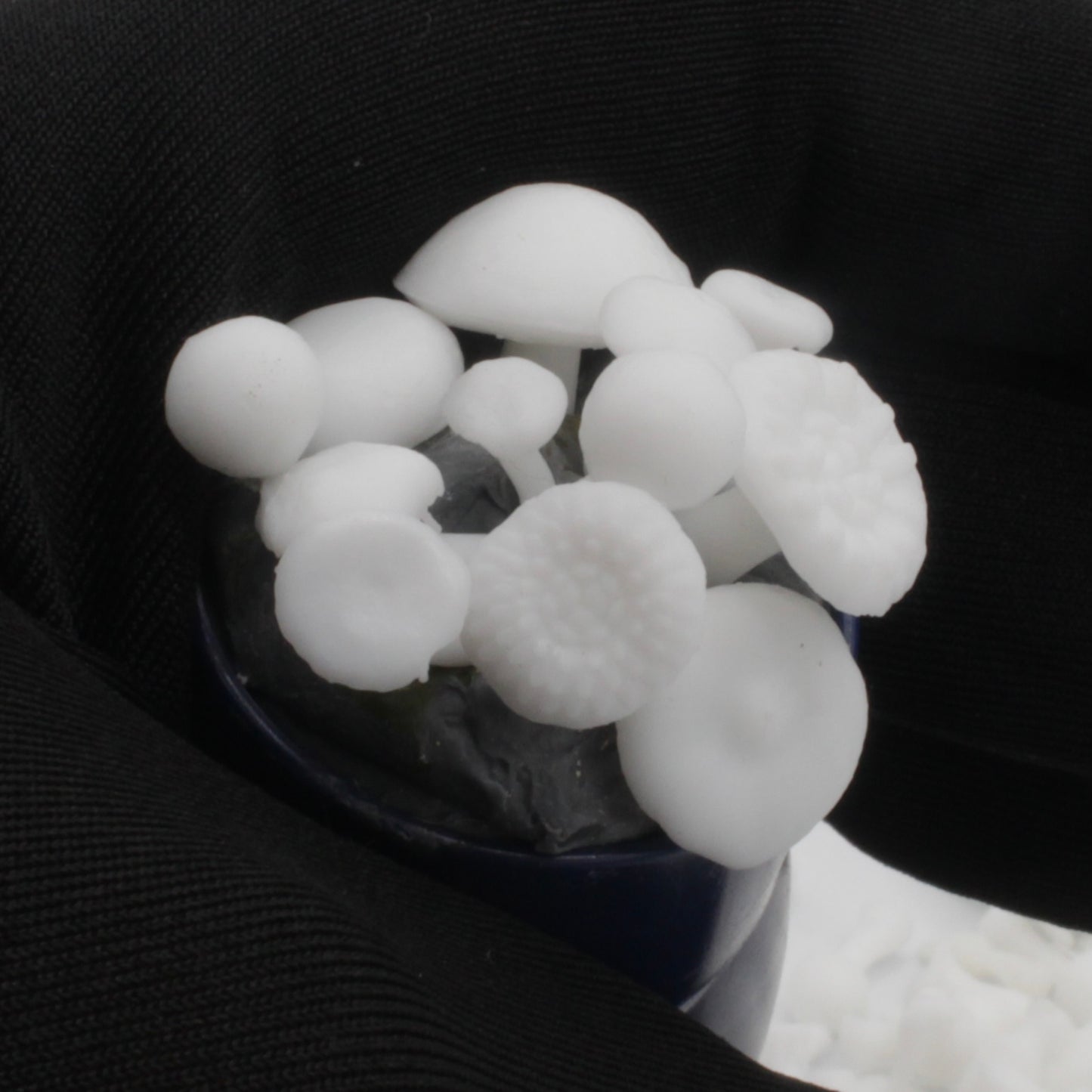 Mushrooms - 1:12 Scale fungus for dollhouse and diorama 3d model by The Scale Grail (6 pieces)