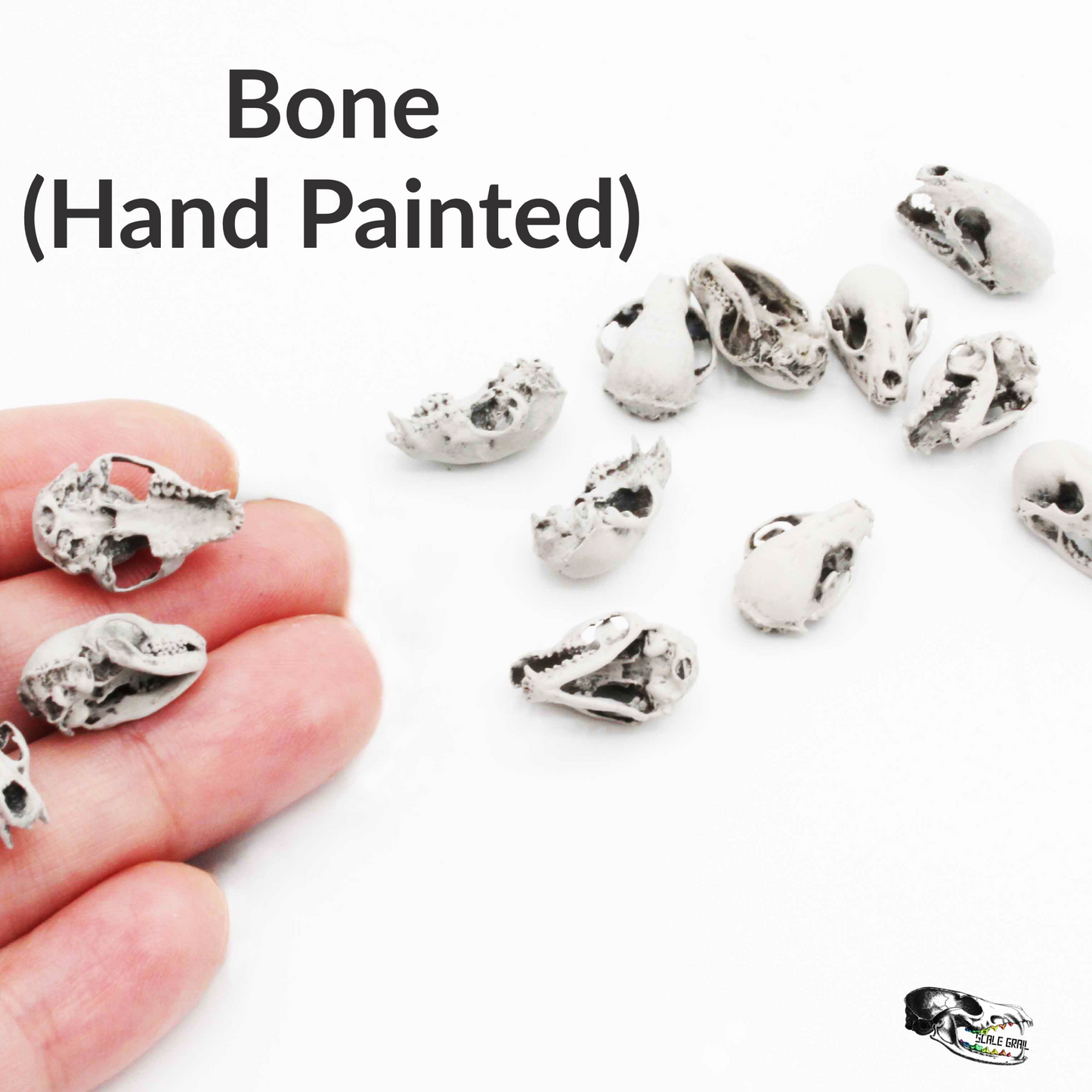 Raccoon Skull - 1:12 Scale Miniature Replica for Diorama, Dollhouse (5 skulls)