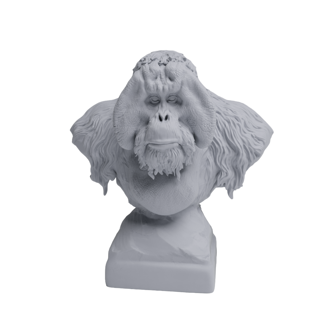 Sumatran Orangutan Bust | Animal Den Miniatures