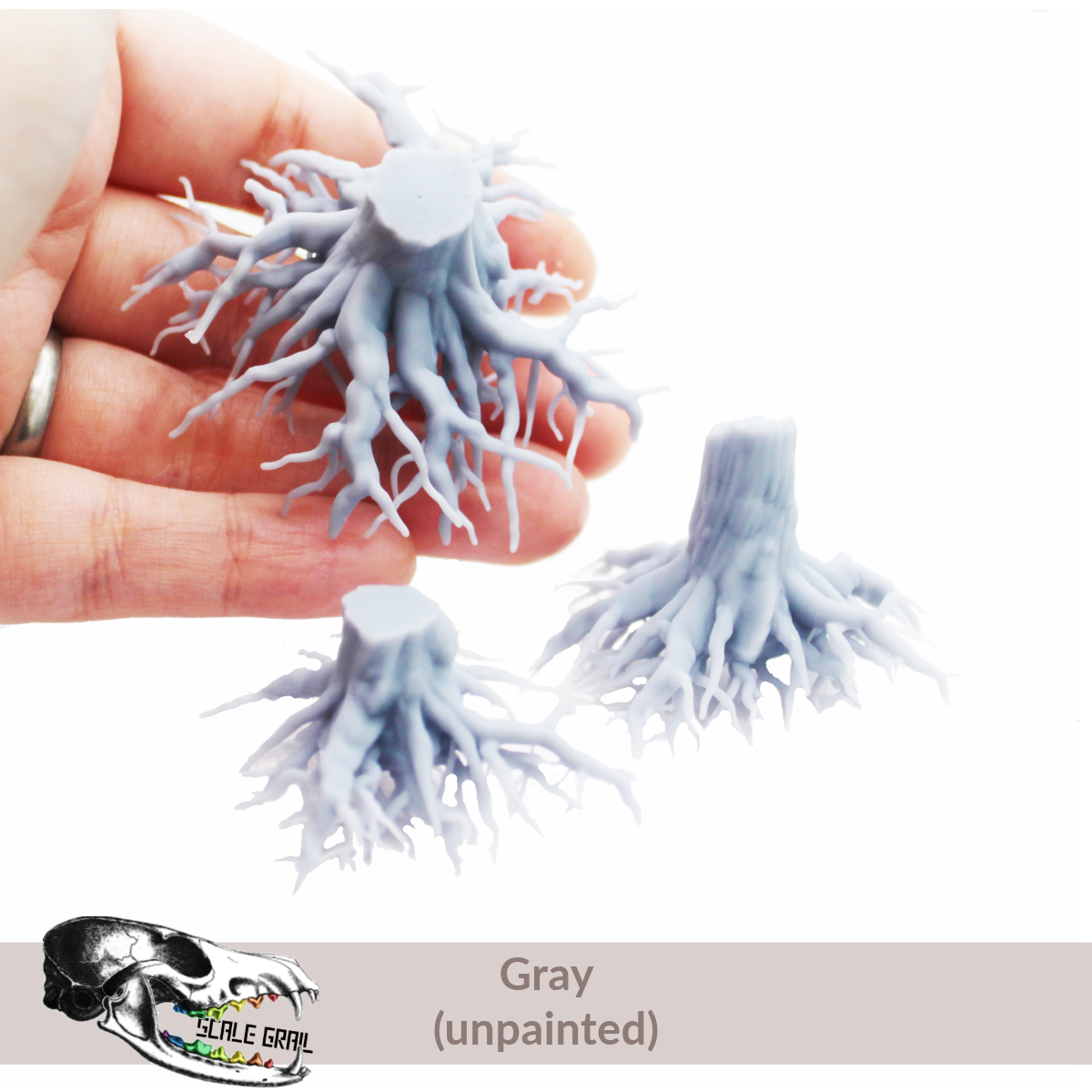 Tree stumps with Roots | The Scale Grail