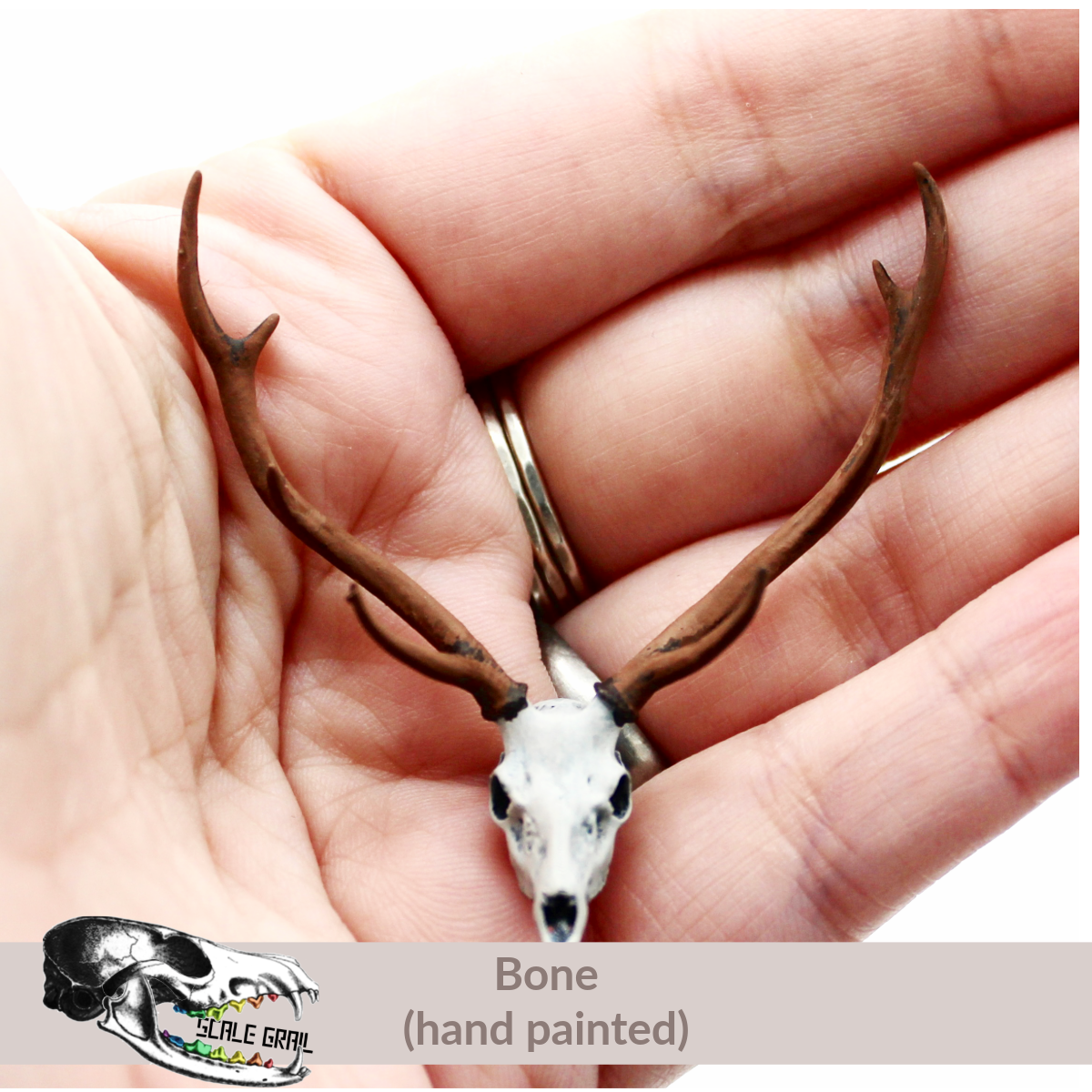 Axis Deer Skull (Field Bones Core Series: Asia) miniature dollhouse and diorama collectible by The Scale Grail