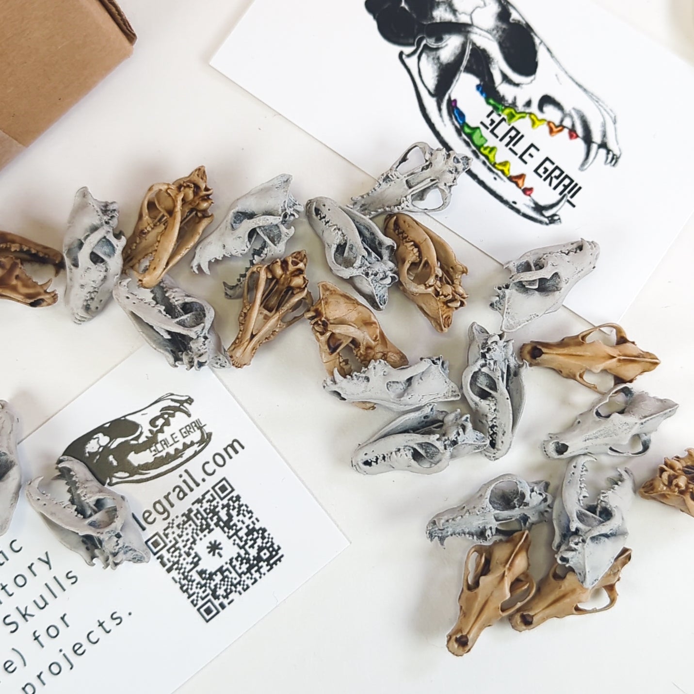 1:12 scale Gray Wolf Skull miniature — made in NC, USA