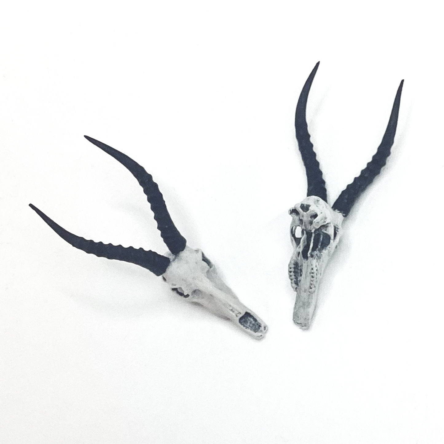 1:12 scale Blesbuck Skull Replica 1:12 scale (2 skulls) miniature — made in NC, USA