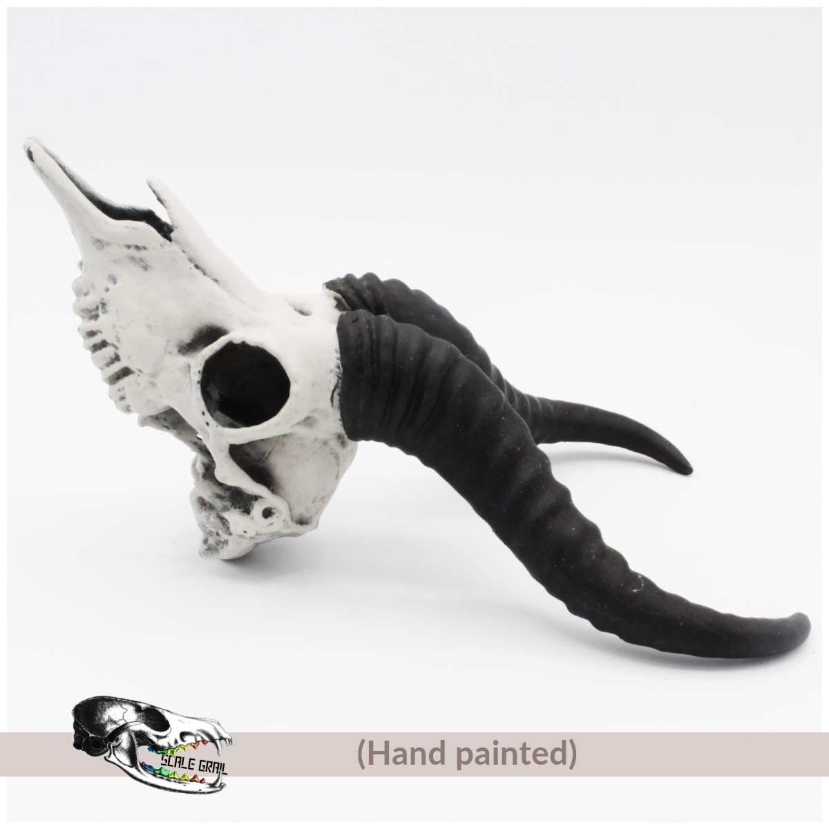 Springbok Skull - 4mm -1:2 Scale skull miniature replica oddities by The Scale Grail