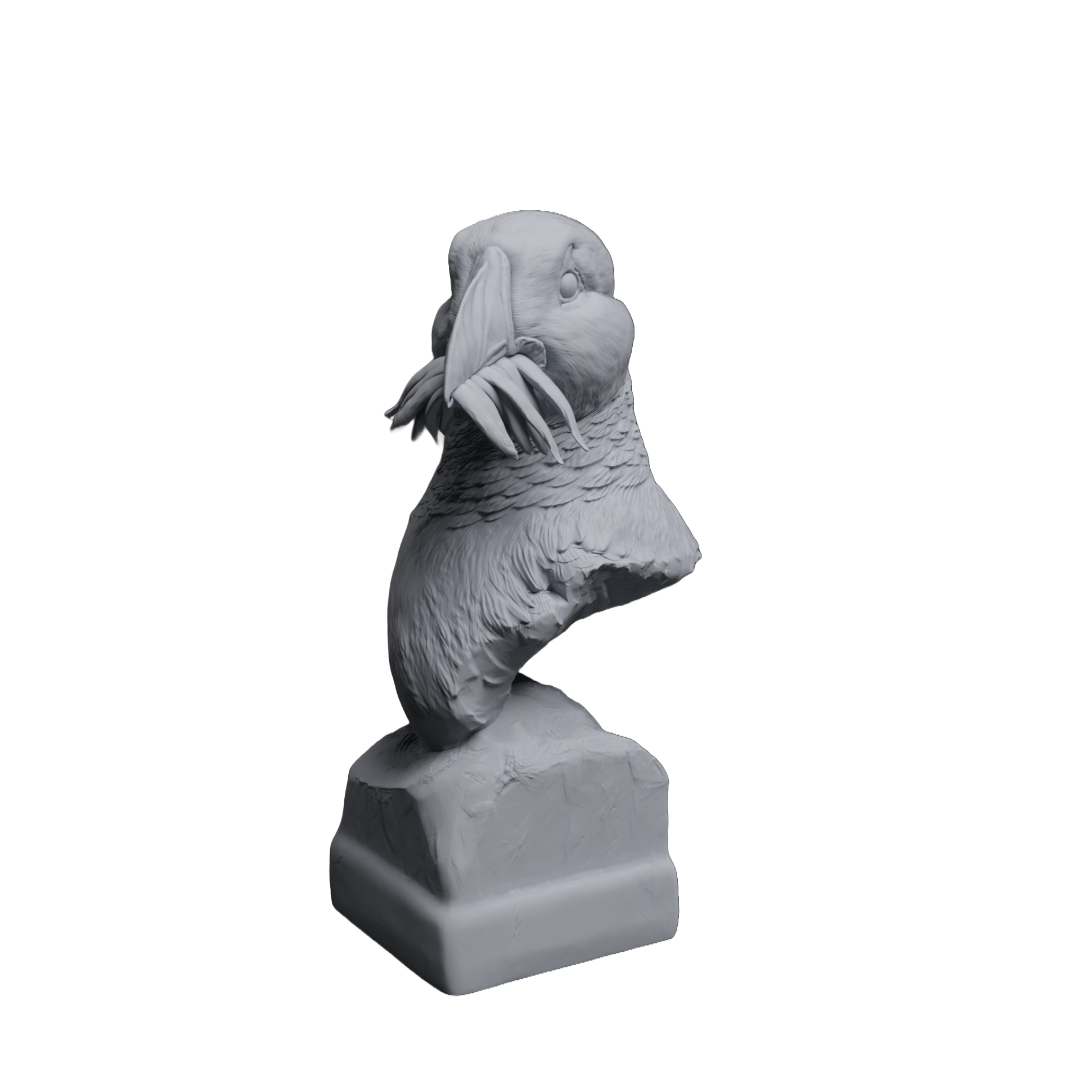 Atlantic Puffin Bust | Animal Den Miniatures