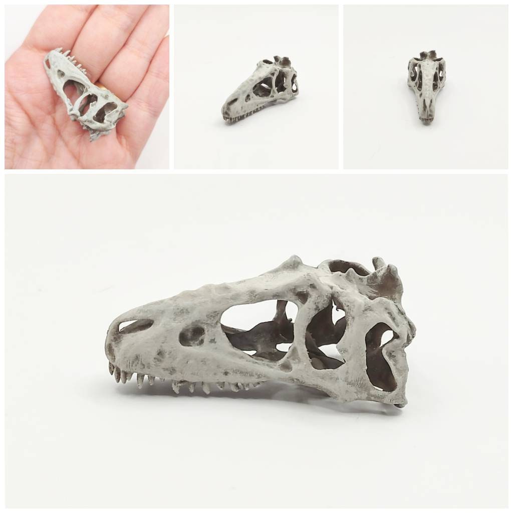 T-Rex (young) Cranium Dinosaur Skull Replica - 1:24 Scale for diorama, miniature horror scenes, dollhouse, curio cabinet