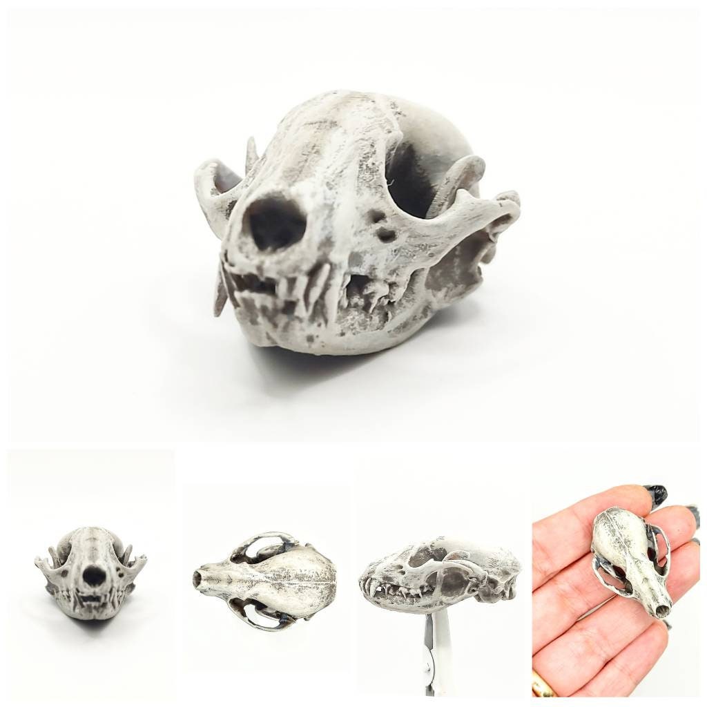 Raccoon Skull - 1:6 Scale skull replica for diorama, miniature horror scenes, dollhouse, curio cabinet, interesting curiosity (1 skull)