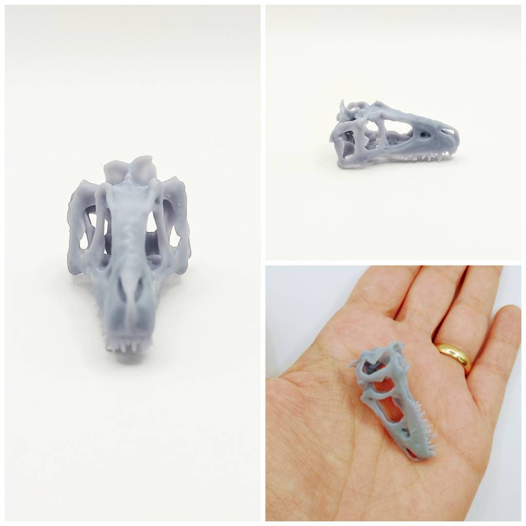 T-Rex (young) Cranium Dinosaur Skull Replica - 1:24 Scale for diorama, miniature horror scenes, dollhouse, curio cabinet
