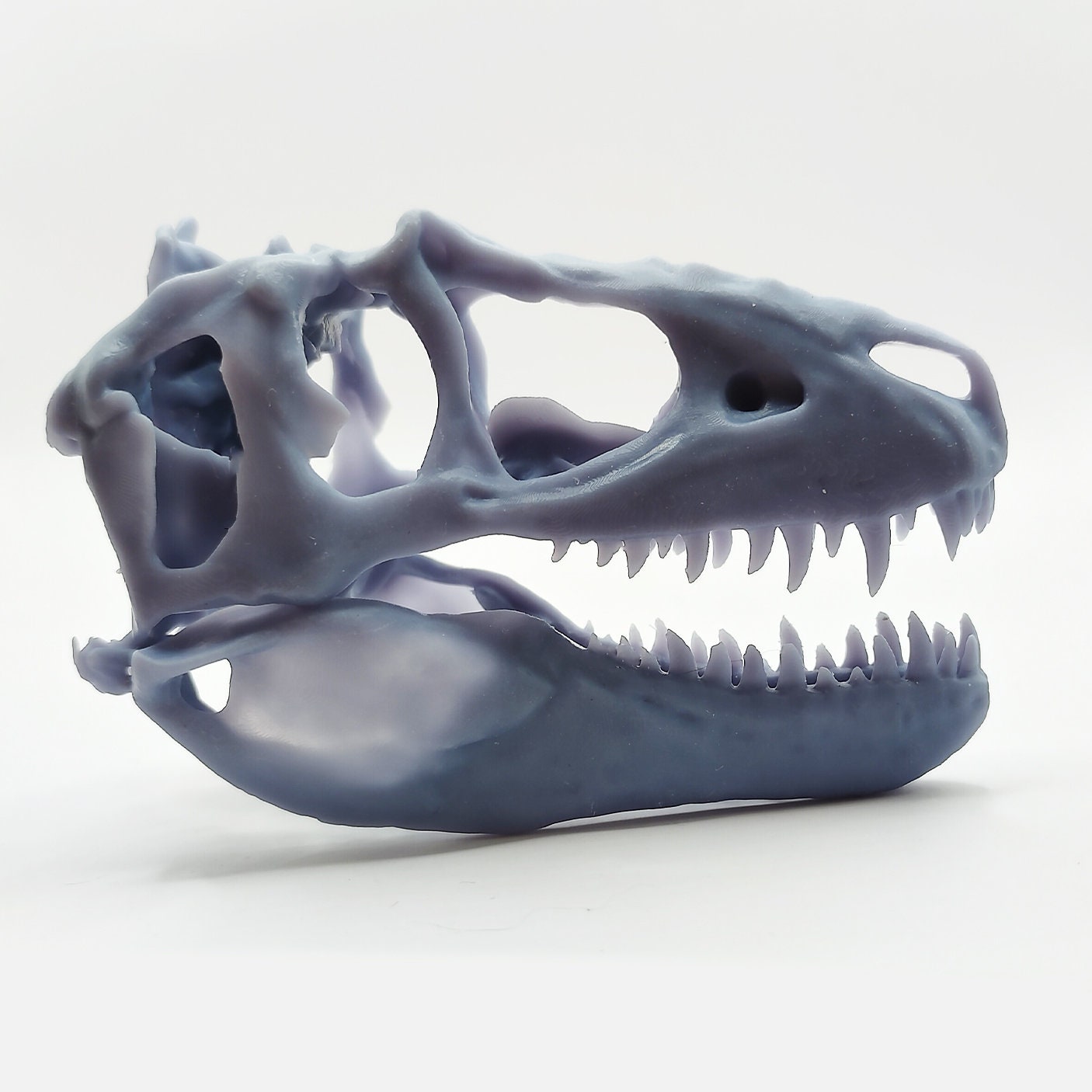 T-Rex (young) Cranium Dinosaur Skull Replica - 1:24 Scale for diorama, miniature horror scenes, dollhouse, curio cabinet