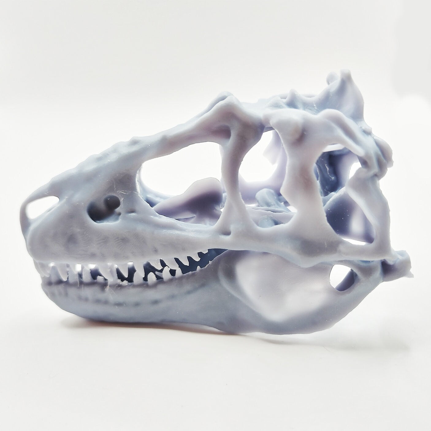 T-Rex (young) Full Dinosaur Skull Replica - 1:12 Scale for diorama, miniature horror scenes, dollhouse, curio cabinet