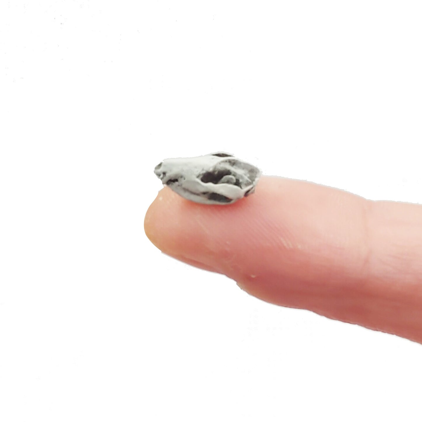 Opossum Skull Replica - 1:12 Scale tiny animal skull for diorama, miniature horror scenes, dollhouse, curio cabinet, (set of 5)