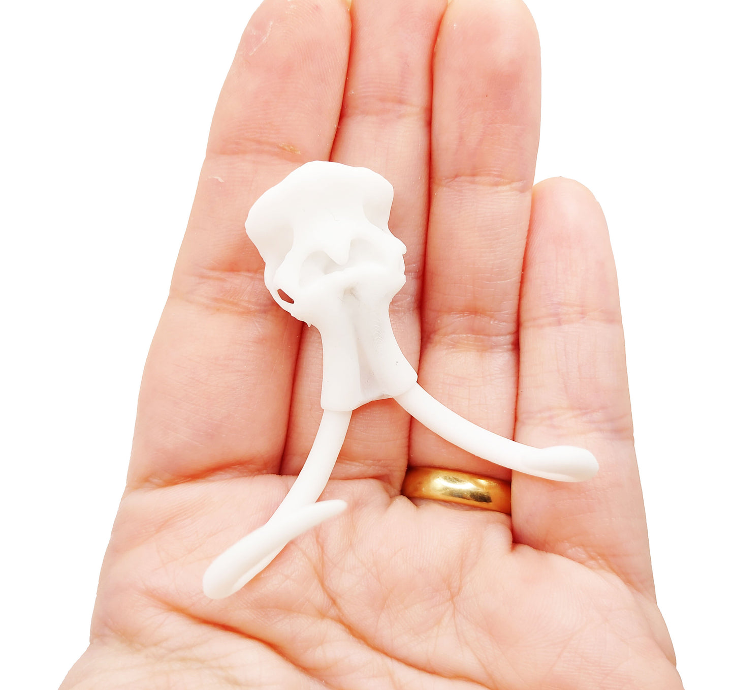 Woolly Mammoth Skull Replica - 1:24 scale realistic extinct animal cranium with tusks for diorama, miniature scenes, dollhouse (1 skull)