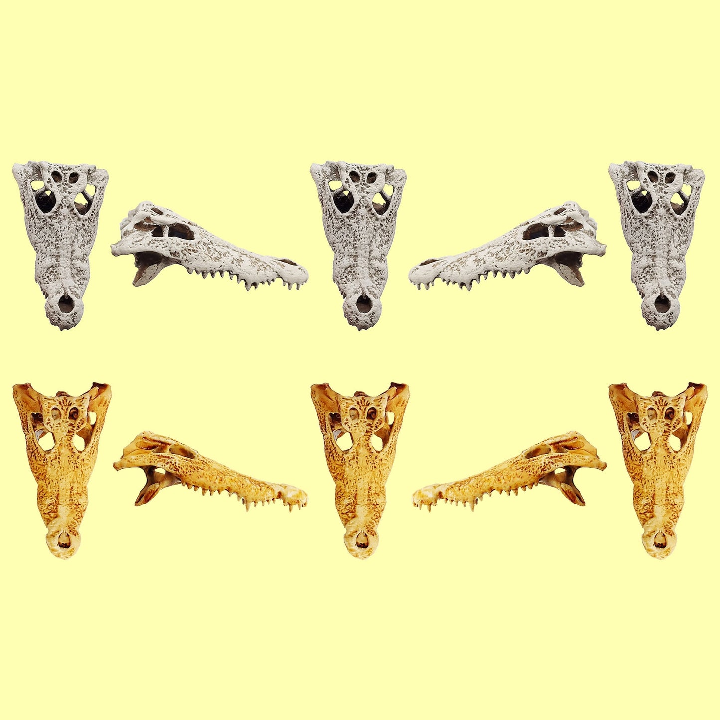 Crocodile Skull - 1:12 scale replica reptile skull for diorama, dollhouse, terrariums, art craft supplies curiosities oddities (set of 5)
