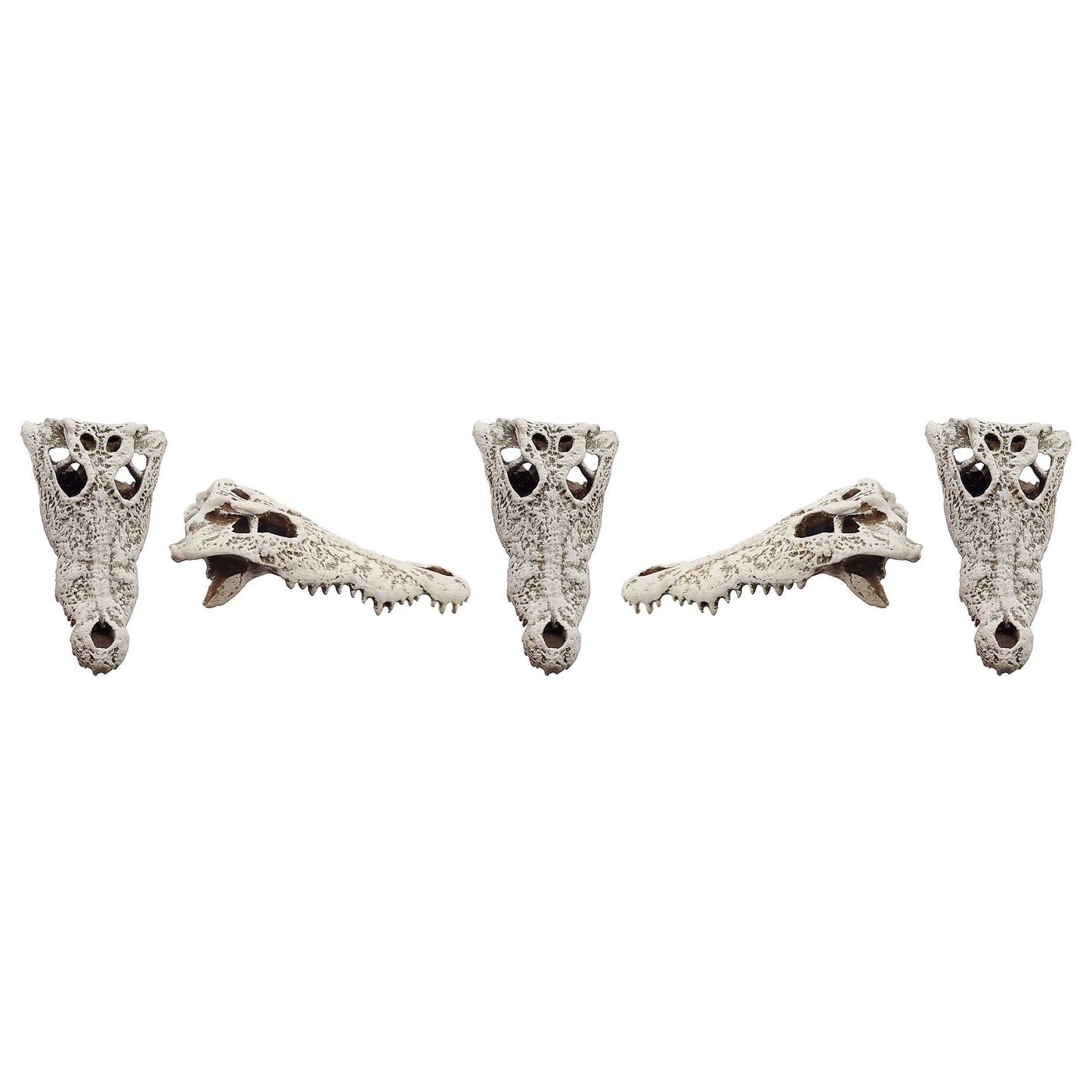 Crocodile Skull - 1:12 scale replica reptile skull for diorama, dollhouse, terrariums, art craft supplies curiosities oddities (set of 5)