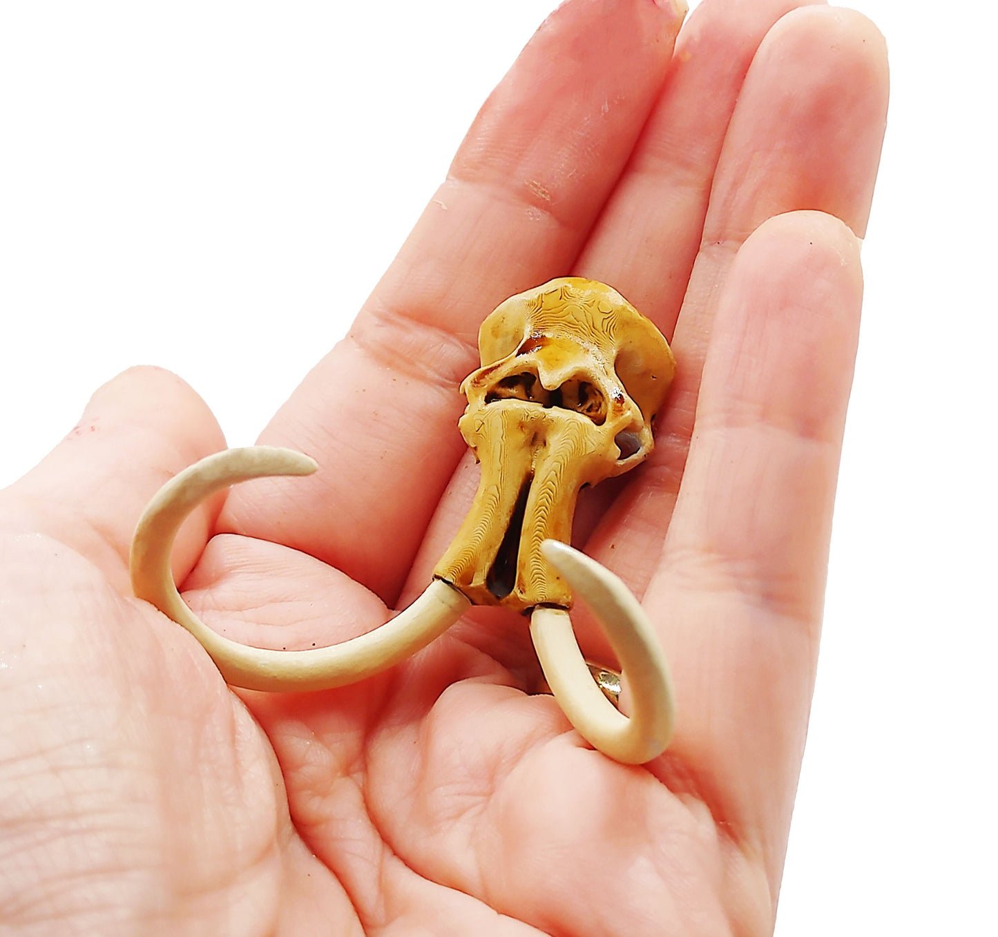 Woolly Mammoth Skull Replica - 1:24 scale realistic extinct animal cranium with tusks for diorama, miniature scenes, dollhouse (1 skull)