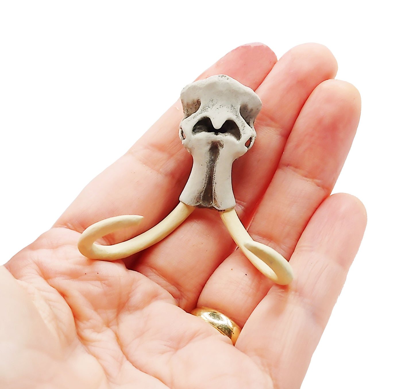 Woolly Mammoth Skull Replica - 1:24 scale realistic extinct animal cranium with tusks for diorama, miniature scenes, dollhouse (1 skull)