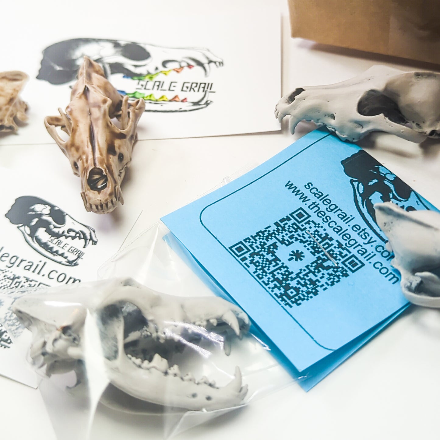 Gray Wolf Skull - miniature — made in NC, USA