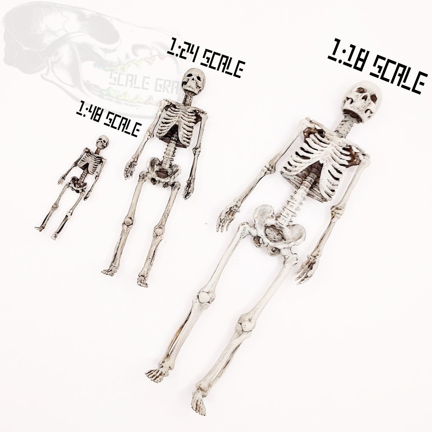 Human Skeleton - 1:48 scale miniature for horror diorama, dollhouse, tabletop arts and crafts, replica curiosities oddities (1 skeleton)