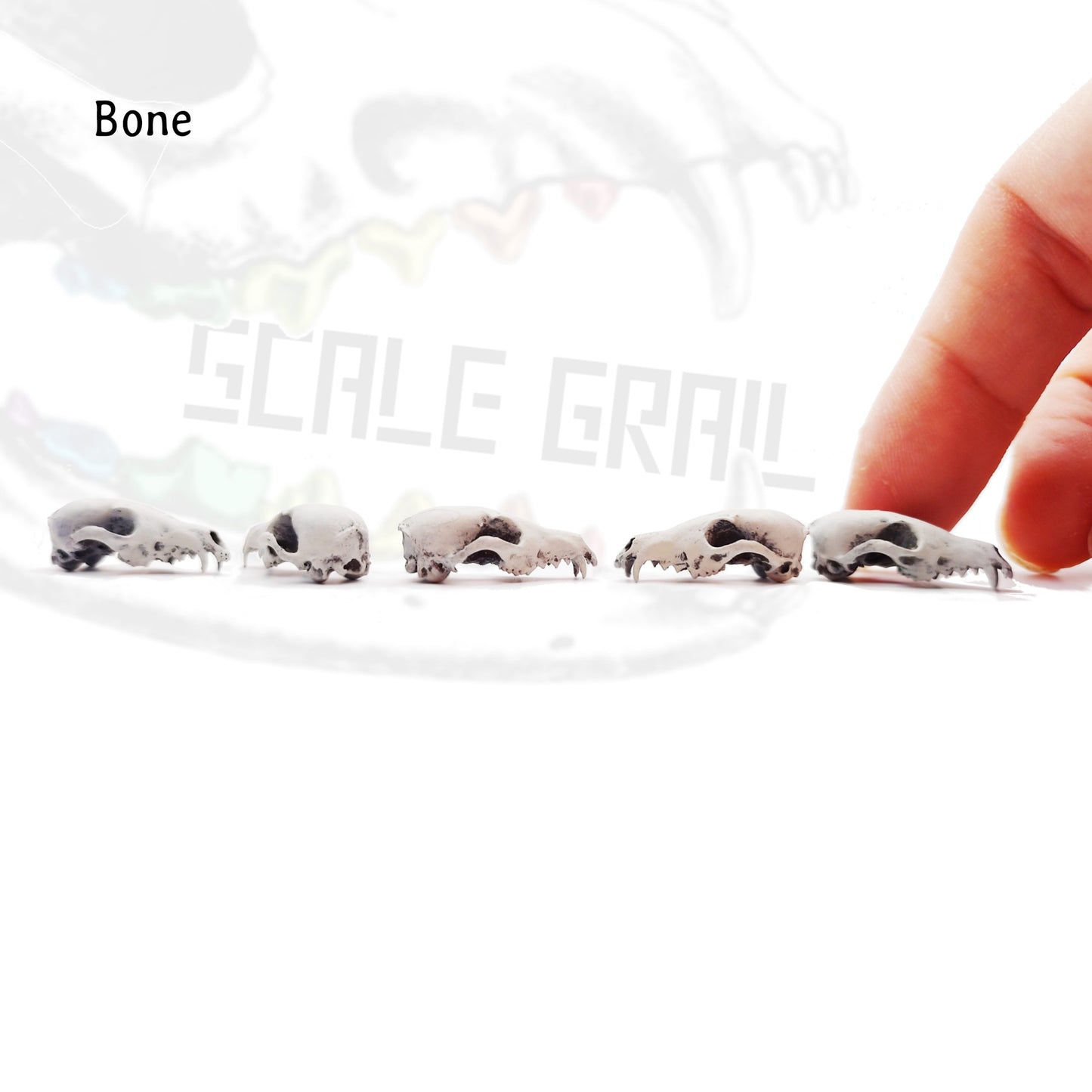 Red Fox Skull - 1:12 Scale Miniature