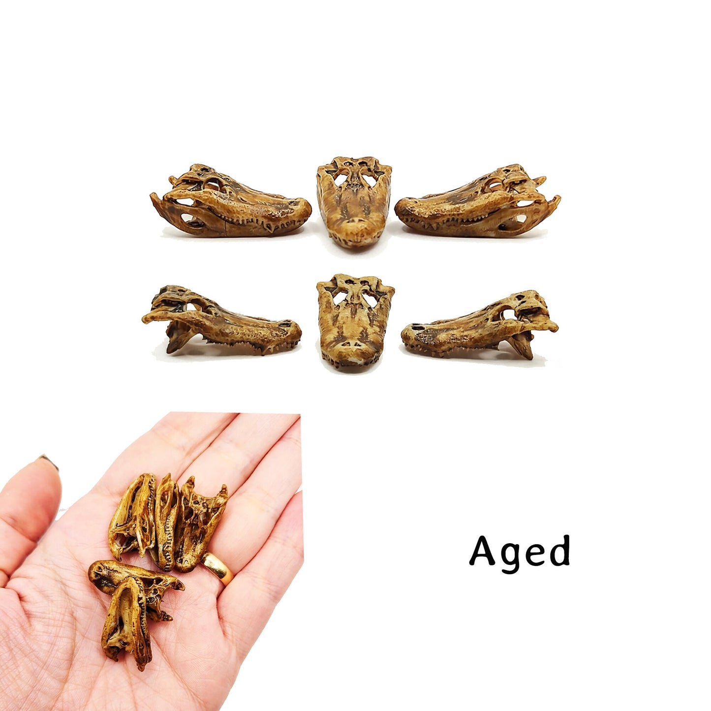Alligator Skull - 1:12 scale (5 skulls)