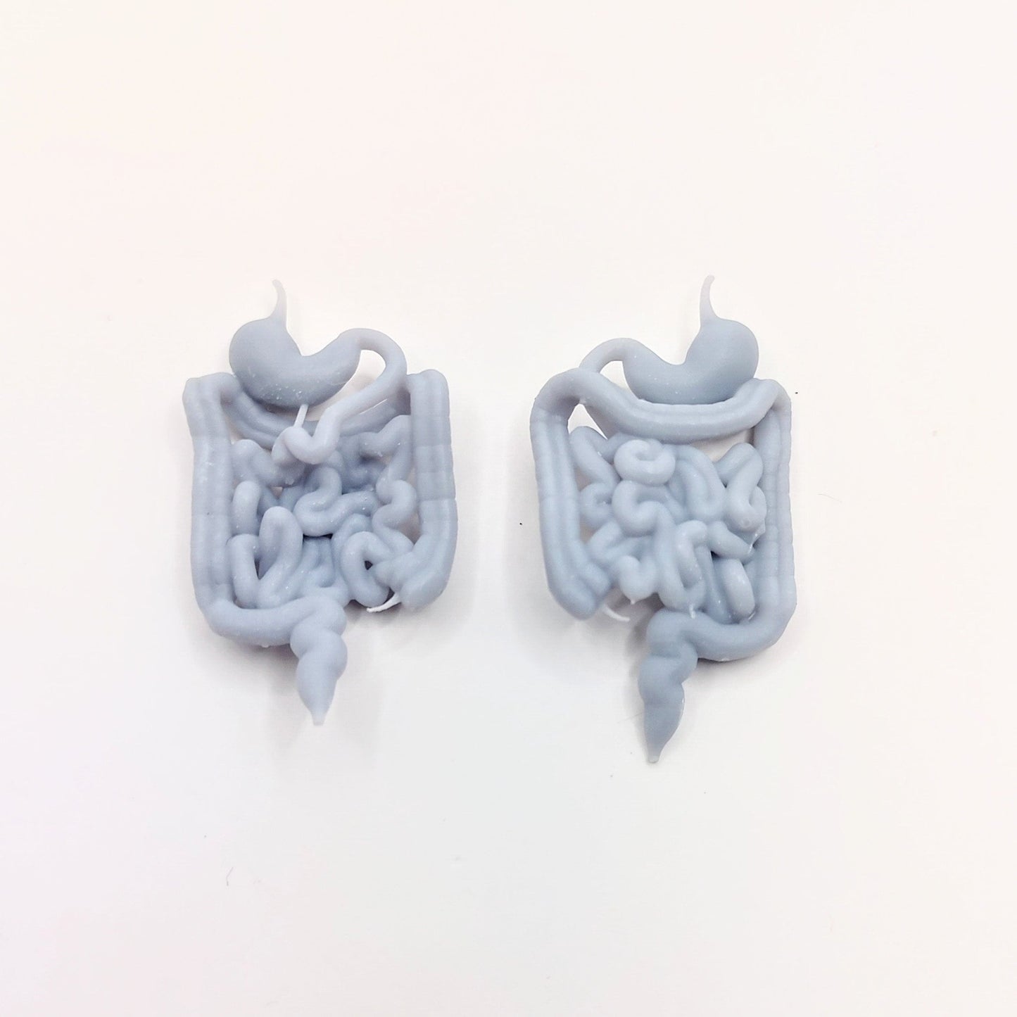 Human Guts - intestines and stomach for 1:12 scale dioramas, horror scenes, terrariums, arts crafts, action figures, doll house (set of two)