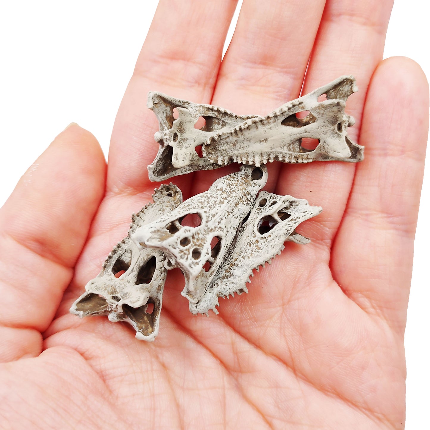 1:12 scale Crocodile Skull Replica miniature — made in NC, USA