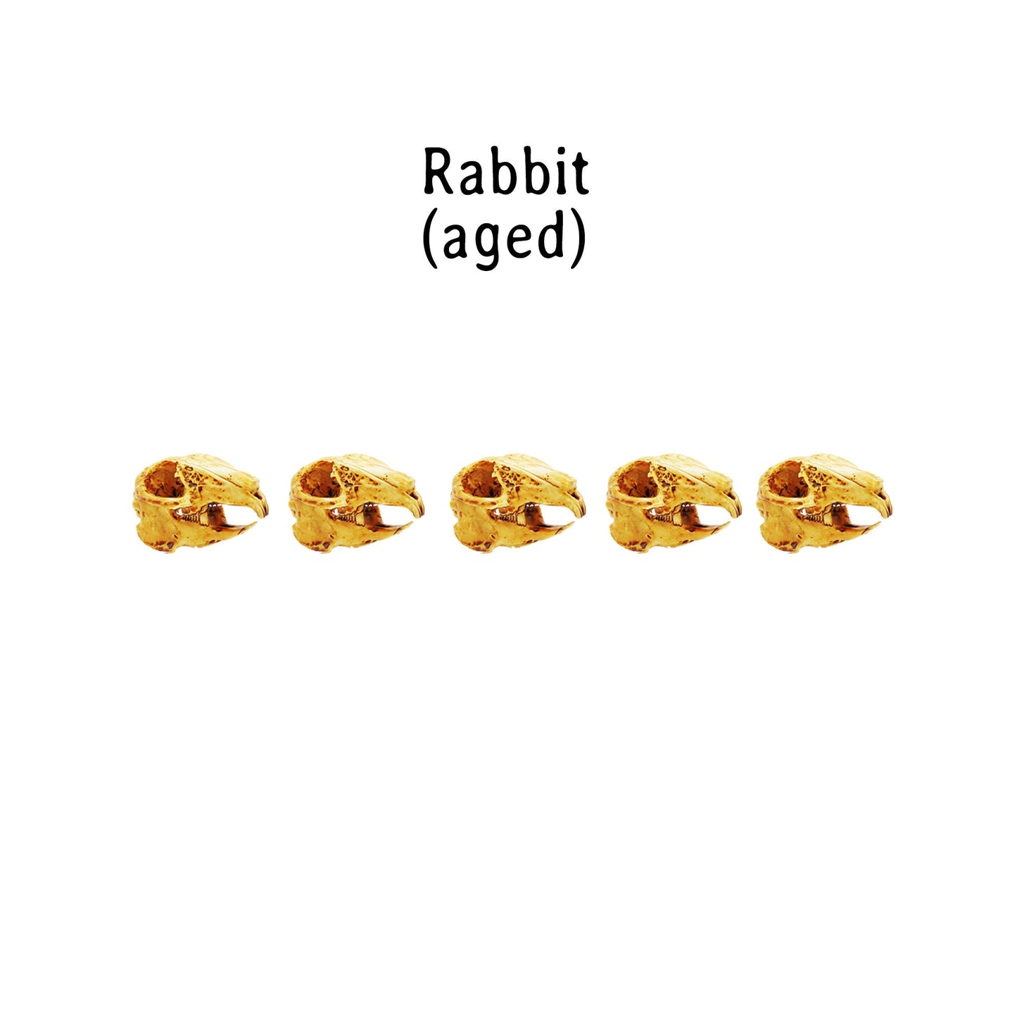 il fullxfull aqg jpg