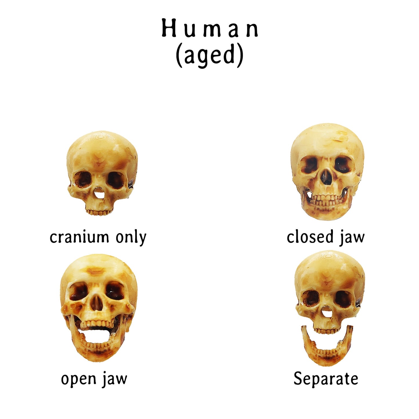 il fullxfull m jpg