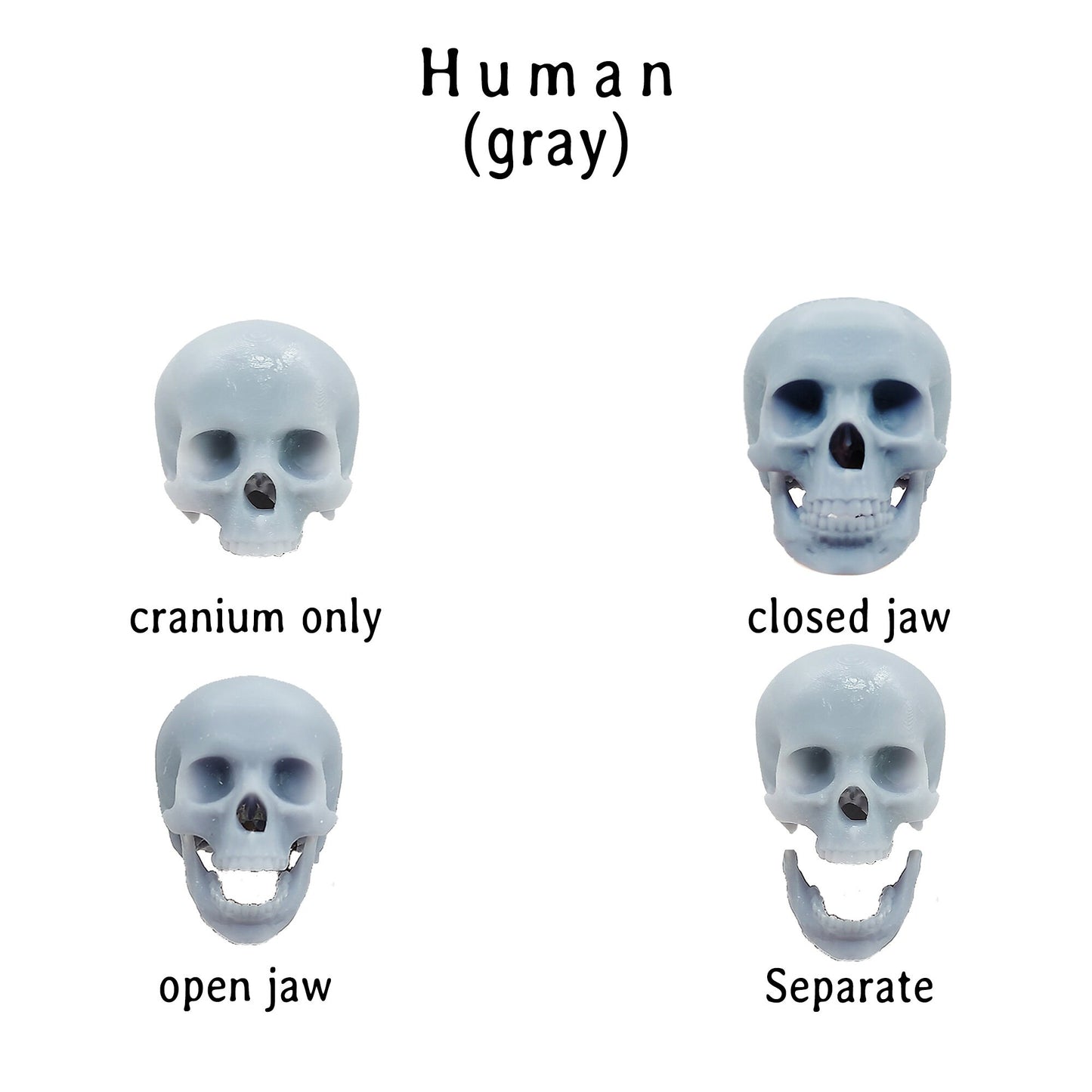 il fullxfull obqf jpg