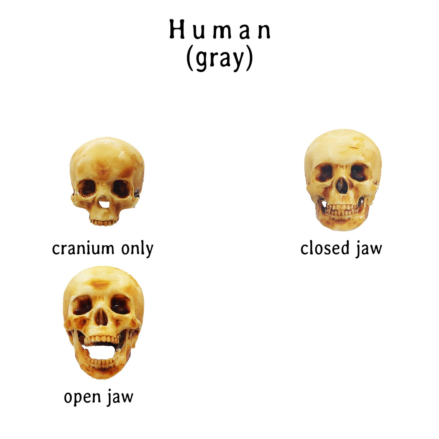 il fullxfull fk jpg