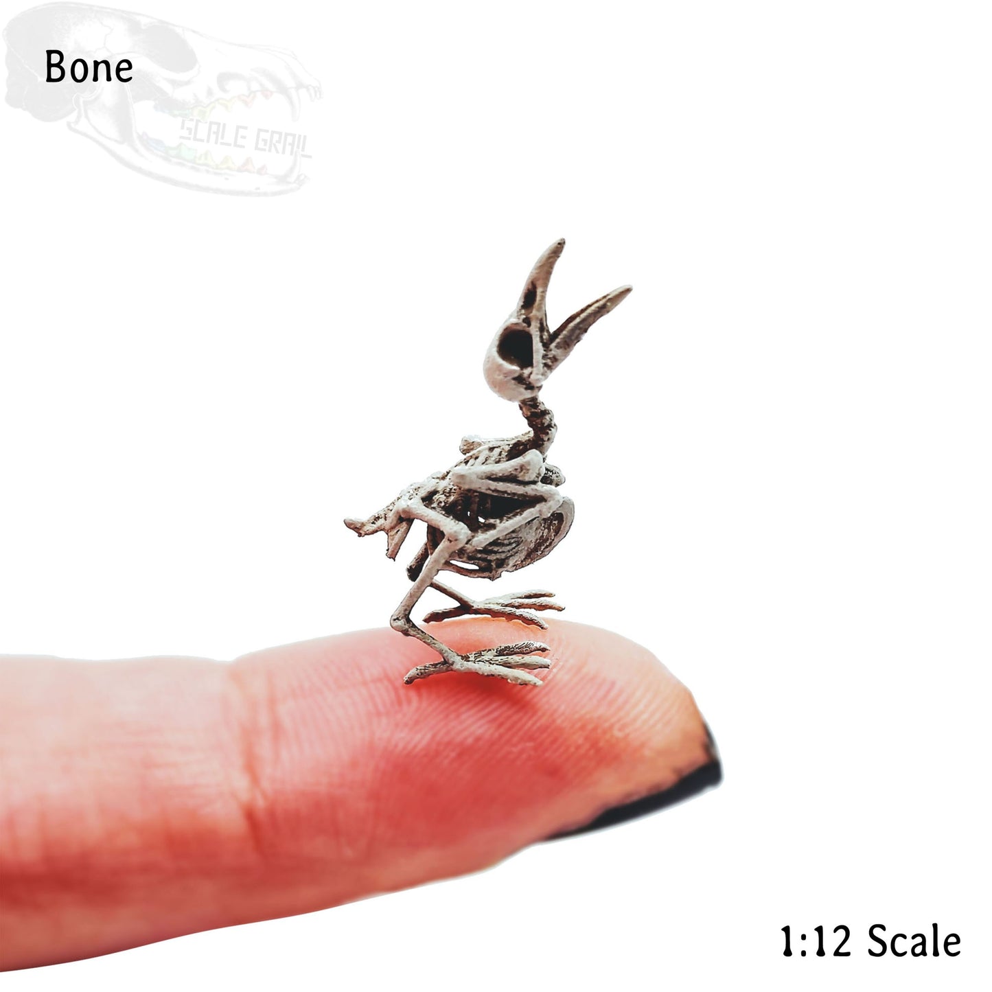 1:12 scale Raven Skeleton Replica miniature — made in NC, USA