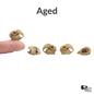 Miniature Parrot Skulls (Scarlet Macaw) - 1:12 Scale dollhouse and diorama miniatures