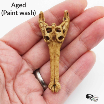 1:12 scale Gharial Skull 1:12 Scale replica reptile miniature for dollhouse diorama art craft supplies (1 skull) miniature — made in NC, USA