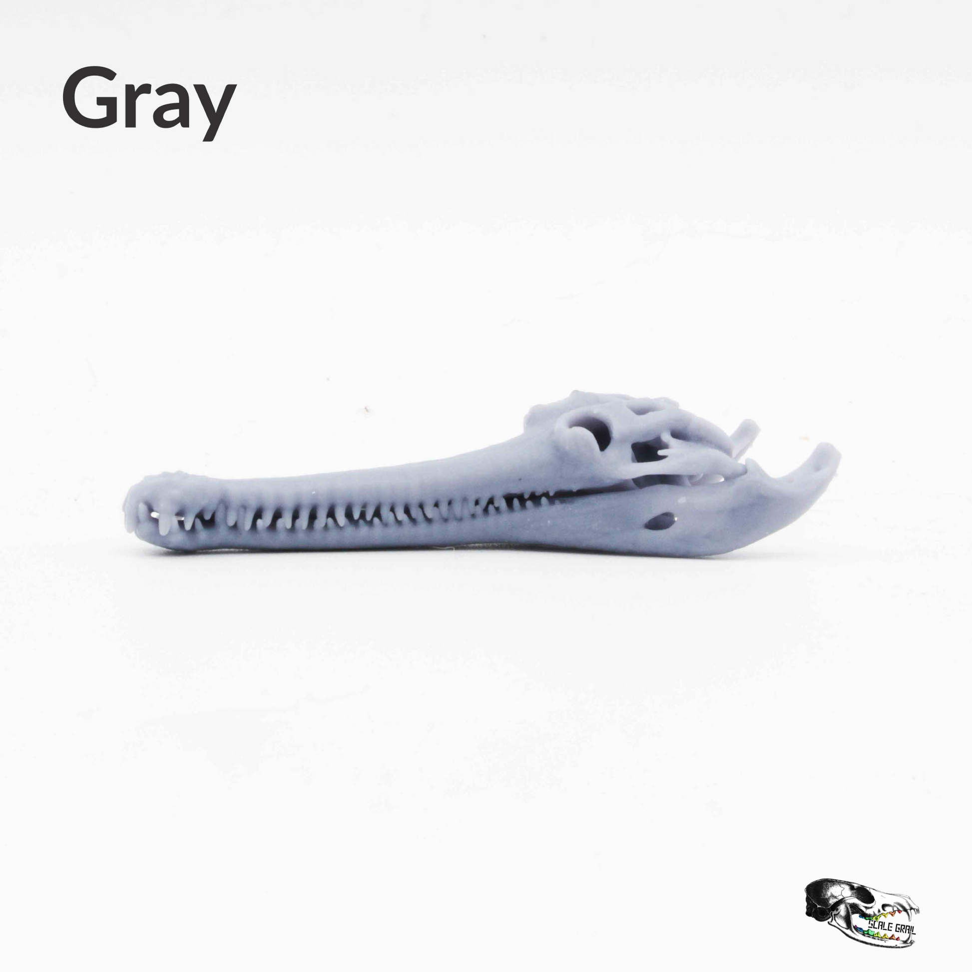 1:12 scale Gharial Skull 1:12 Scale replica reptile miniature for dollhouse diorama art craft supplies (1 skull) miniature — made in NC, USA